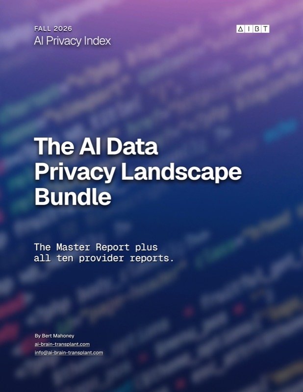 The AI Data Privacy Landscape Bundle Cover
