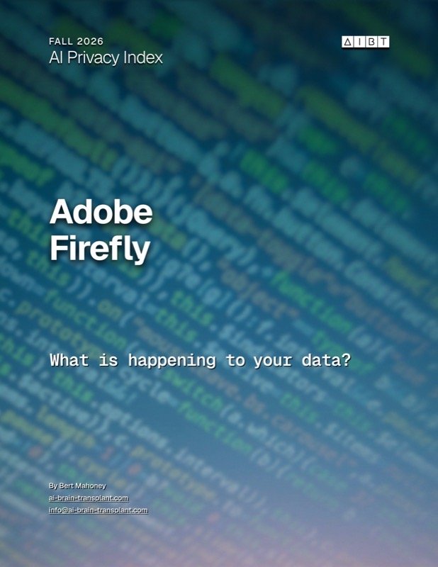 Adobe / Firefly brief cover