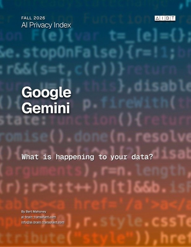 Google / Gemini brief cover