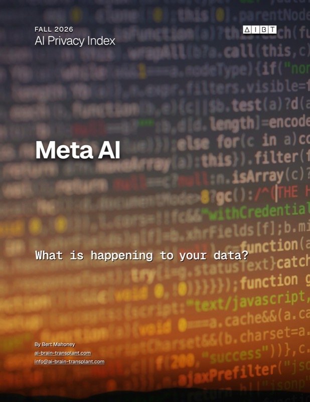 Meta AI brief cover