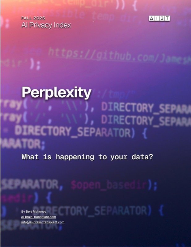 Perplexity brief cover