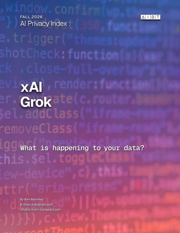 xAI / Grok brief cover